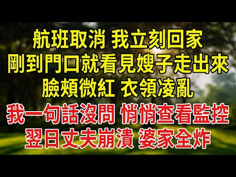 航班取消，我立刻回家，剛到門口就看見嫂子走出來，臉頰微紅、衣領凌亂。我一句話沒問，悄悄查看監控。那晚的決定，讓隔天丈夫崩潰，整個婆家炸鍋。#情感故事#為人處#故事#戀愛#情感#婚姻