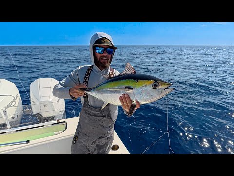 Bait Mission | I Needa Bonita | Tuna Bycatch