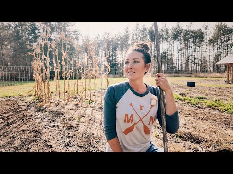 Preparing My Garden for Winter | Zone 4A Minnesota