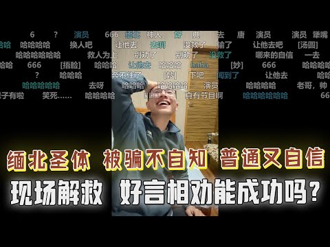 全体崩溃！户晨风携全体观众合力解救“缅北圣体”，疑似被骗不自知，好言相劝能成功吗？雅思7.5的含金量比普通本科毕业证还要高？看户晨风如何说！