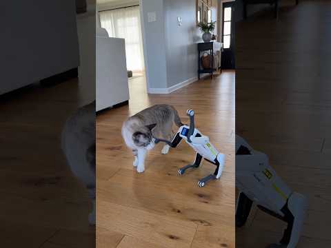 Gary’s new bestfriend😂