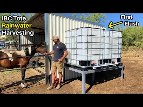 Rainwater Harvesting System For the Horse  - DIY First Flush and IBC Totes