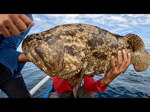 Napakamahal Ng Isdang Ito