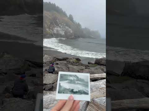 Shooting Instax Wide at Cape Disappointment #fujifilm #instax #instantphotography #pacificnorthwest