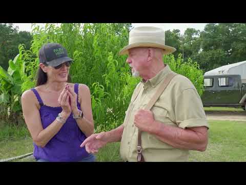 FARM HERO: Georgia Part 1 with Will Harris and White Oak Pastures