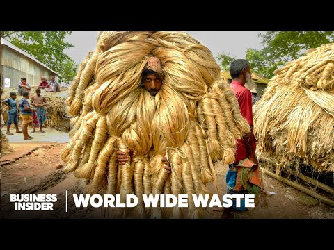 Can "Golden Fiber" From Swamp Reeds Replace Plastic? | World Wide Waste | Business Insider