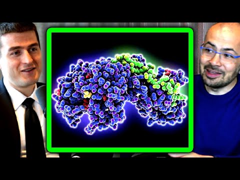 Demis Hassabis explains AlphaFold | Lex Fridman Podcast Clips