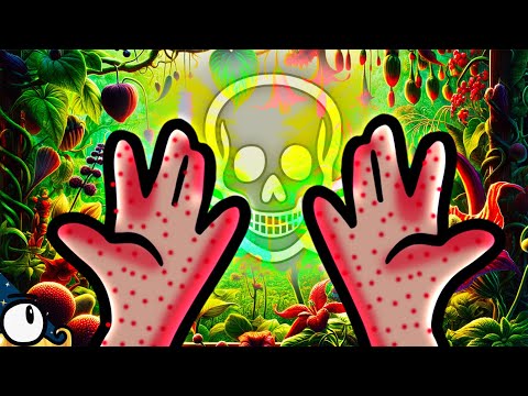 Plants you should NEVER approach 🌱💀