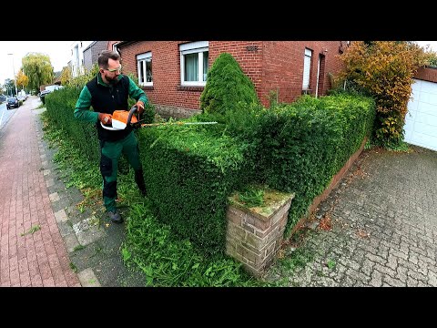 "You WANT To Do This For FREE?" I Was Just Driving By And Offered My HELP