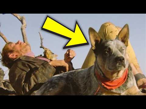 Mad Max 2: The Road Warrior (1981): 25 SECRETS Hidden for Decades