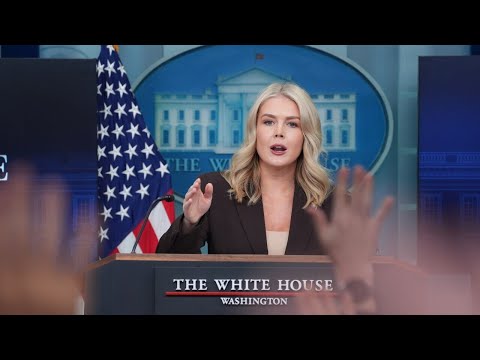 ICE arrests mother of White House press secretary Karoline Leavitt’s nephew