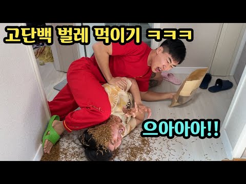 음식 막 먹는 돼지친구 건강한 음식으로 바꿔치기 해서주기ㅋㅋㅋㅋㅋ