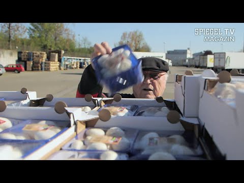 Essen ohne Geld: Die Food-Rebellen | SPIEGEL TV