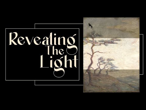 Revealing The Light