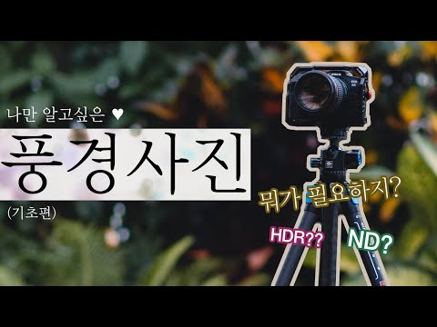 Tips for Taking Better Landscape Photos (with SIRUI)