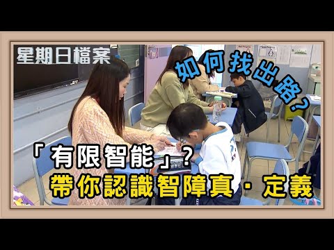 「有限智能」人士的學習困局 有限智能學童有未來嗎？｜新聞 | 時事 | 資訊節目 | 星期日檔案｜Sunday Report