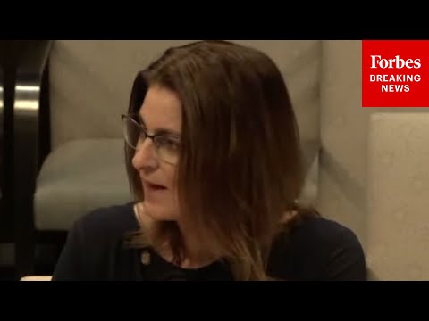 SHOCK CLAIM: Minnesota State Lawmaker Reads Alarming Alleged Threats To Fraud Whistleblowers