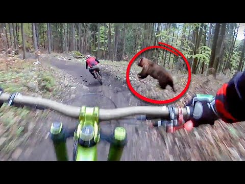 Bikers Who Forgot the Brakes