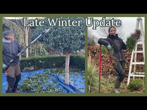 Late Winter Garden Update