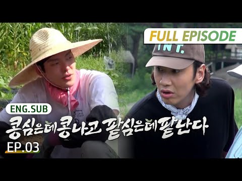 [Full/K-Content] GreenBeanRedBean EP.3 | #Engsub #Kvariety