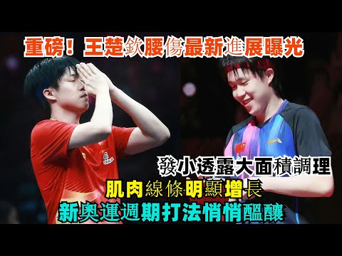 Breaking news! The latest update on Wang Chuqin's back injury has been revealed. His childhood fr...