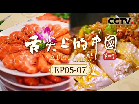 中国的味道是什么样的？当它与国外的味道进行交融会迸发出怎么样的火花？《舌尖上的中国》第四季 EP05-07【CCTV纪录】
