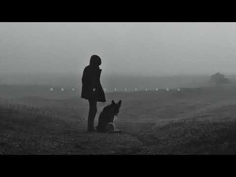 Ludovico Einaudi and Max Richter Collection III