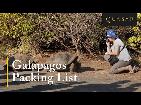 Galapagos Packing List - What to Pack for the Cruise of a Lifetime