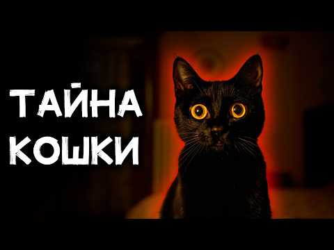 Загадочный детектив Уильяма Бриттена - Мистер Стренг и любительница кошек |Лучшие Аудиокниги| Король