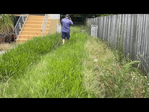 ELDERLY couple SPEECHLESS seeing their OVERGROWN yard TRANSFORMED