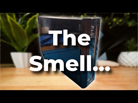 Can I Save This Bug Infested Wii?