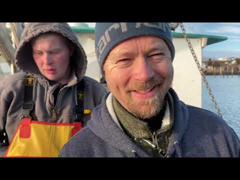 The Catch - Maine dayboat and diver scallops