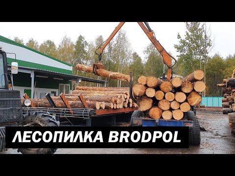 Линия лесопиления BRODPOL Длина бревен 6 м 460 мм (2019 год) (SAWMILL LINE BRODPOL)