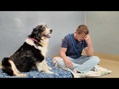 Here’s Why I Had to take this Dog IMMEDIATELY...