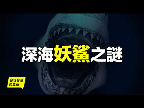 遠洋白鰭鯊：會微笑、很溫順，但為何突然開始襲擊人類？真相，从1972年的一樁懸案說起……|自說自話的總裁