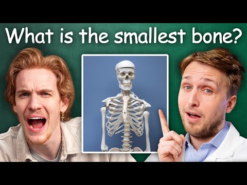 Could We Be Doctors?