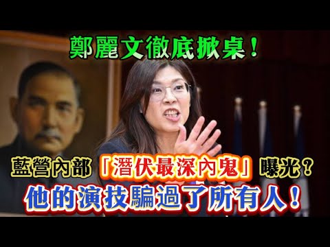鄭麗文徹底爆發！三招絕殺技震驚全黨，投降派這下慘了！#鄭麗文 #柯志恩 #侯友宜 #韓國瑜 #趙少康 #游淑慧