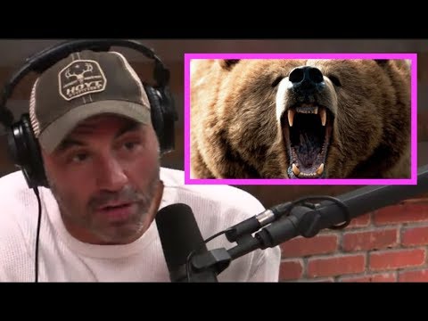 Joe Rogan STUNNED By Bear Attack Story