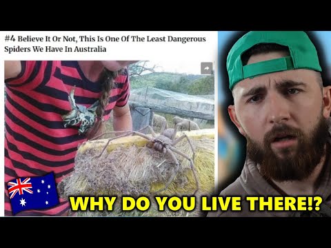 Things in Australia That Leave Americans Terrified!!! *this can't be real*