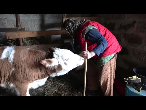 Duraj pa hajd. Da nešto uradim sama sebi, kako bih bez imana sa dunjaluka