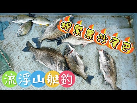 [流記釣魚#18] 流浮山水尾大黑沙3斤2兩 唔識釣魚竿都斷埋  流浮山四匹仔十五匹 #艇家文哥 #fishing #香港釣魚 #艇釣 #釣魚 #流浮山 #hongkongfishing