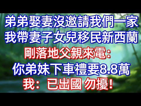 弟弟娶妻沒邀請我們一家 我带妻子女兒移民新西蘭 剛落地 父親來電:你弟妹下車禮要8.8萬 我:已出國勿擾!#情感故事 #生活經驗  #為人處世  #老年生活#故事
