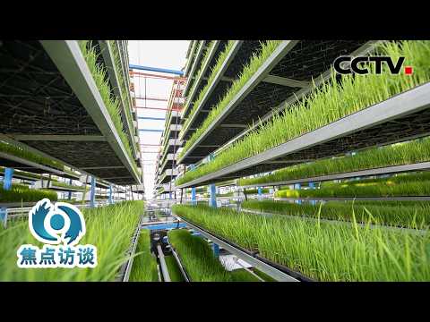 犁地、插秧、播种……智能农机都能搞定！一起到田间地头看春耕新图景 | CCTV「焦点访谈」20260417