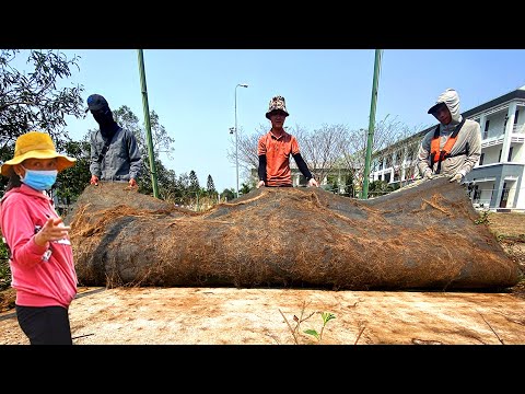 UNBELIEVABLE! 😱 We DISCOVERED a SIDEWALK HIDDEN beneath this THICK layer of vegetation!