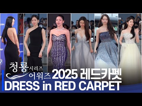 [2025 Blue Dragon Series] Who is the Best-Dressed Star? | IU, YoonA, Park Eun Bin, Hyeri, Claudia