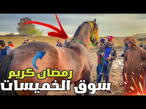 اخر سوق الخميسات قبل رمضان 2024 رحبة كانت عامرة ناضت روينة على عود باعو العربي طويبة روبريز