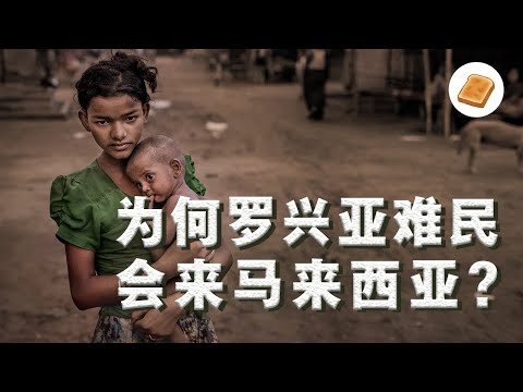 【大包子】缅甸难民冒生命危险也要过来大马，抵达后却成为全马公敌！