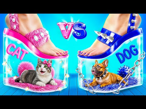 Bunk beds for pets! We built a secret room!