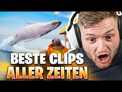 🤯😱Die KRASSESTEN Tierangriffe ALLER ZEITEN! - Unfassbar KRASSES VIDEO HILFEEE | Trymacs Highlights