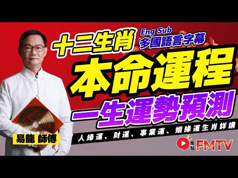 【完整版】十二生肖本命運程︱一生運勢預測及性格分析︱肖鼠牛虎兔龍蛇馬羊猴雞狗豬｜人緣運、財運、事業運、姻緣運生肖詳講《#易龍知玄機》